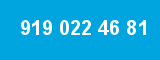 919 022 46 81 919 022 46 81